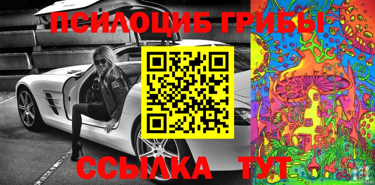 Горно-Алтайск  Псилоцибиновые грибы Cubensis  Галлюциногенные грибы Cubensis  Вход с VPN 